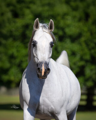 BAAHIRA MTC thumbnail picture