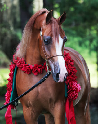 CONGRATULATIONS TO<br>MADDY & JAY WINER! thumbnail picture